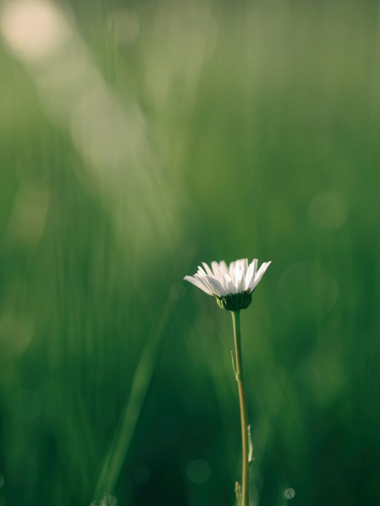 Aaron Burden T8MgrNitecE Unsplash 769x1024