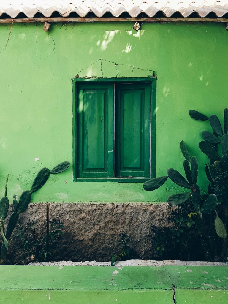 Martin Widenka C0ViYpsmUrg Unsplash 768x1024